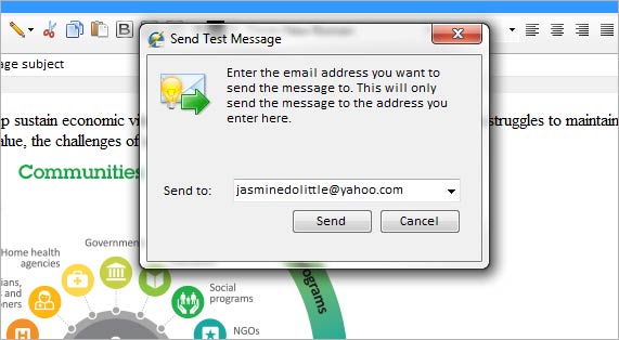 Enter test email address